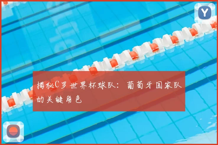 揭秘C罗世界杯球队：葡萄牙国家队的关键角色