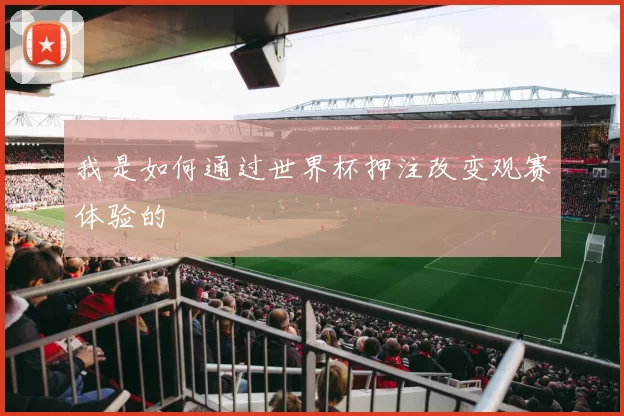 我是如何通过世界杯押注改变观赛体验的
