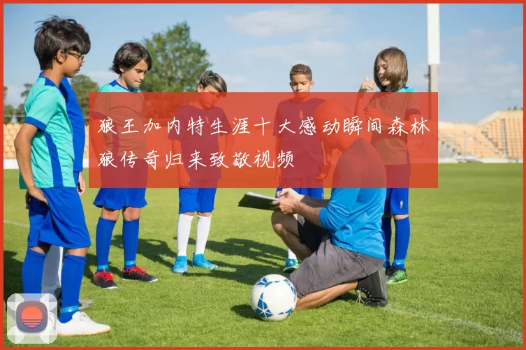 狼王加内特生涯十大感动瞬间森林狼传奇归来致敬视频