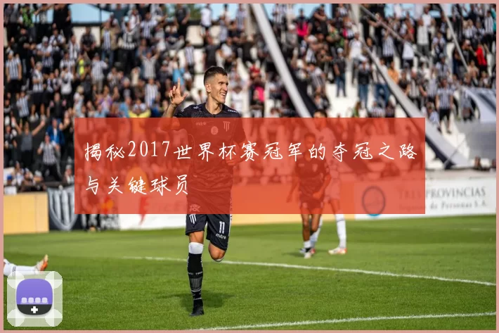 揭秘2017世界杯赛冠军的夺冠之路与关键球员