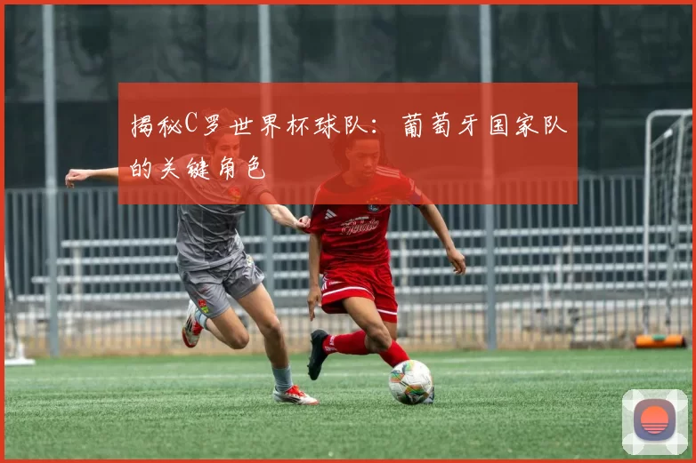 揭秘C罗世界杯球队：葡萄牙国家队的关键角色