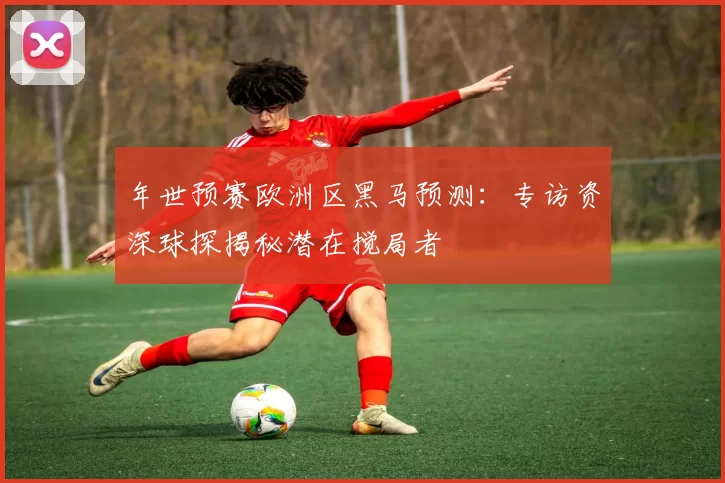 年世预赛欧洲区黑马预测：专访资深球探揭秘潜在搅局者
