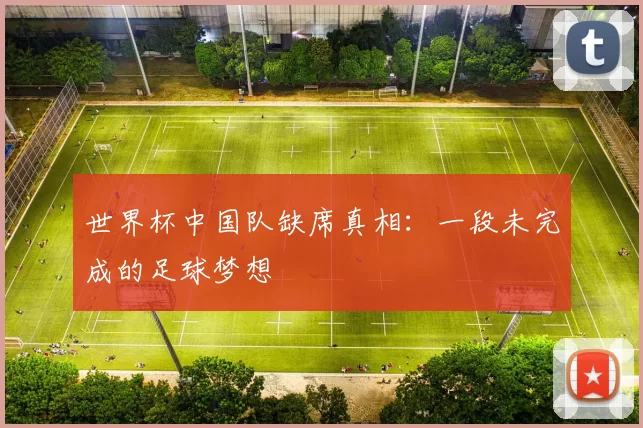 世界杯中国队缺席真相：一段未完成的足球梦想
