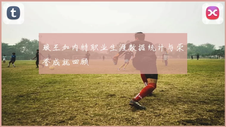 狼王加内特职业生涯数据统计与荣誉成就回顾