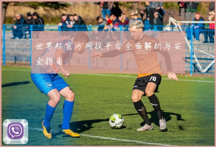 世界杯官方网投平台全面解析与安全指南