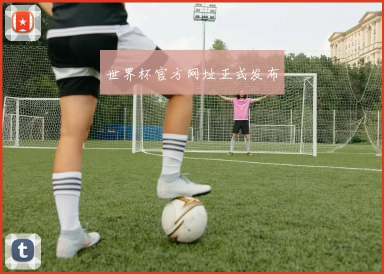 世界杯官方网址正式发布