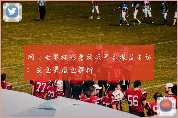 网上世界杯彩票购买平台深度专访：安全渠道全解析