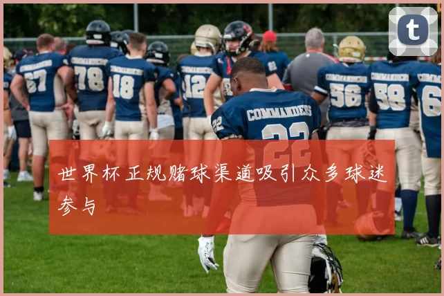 世界杯正规赌球渠道吸引众多球迷参与