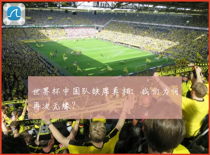 世界杯中国队缺席真相：我们为何再次无缘？