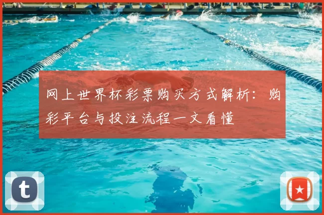 网上世界杯彩票购买方式解析：购彩平台与投注流程一文看懂